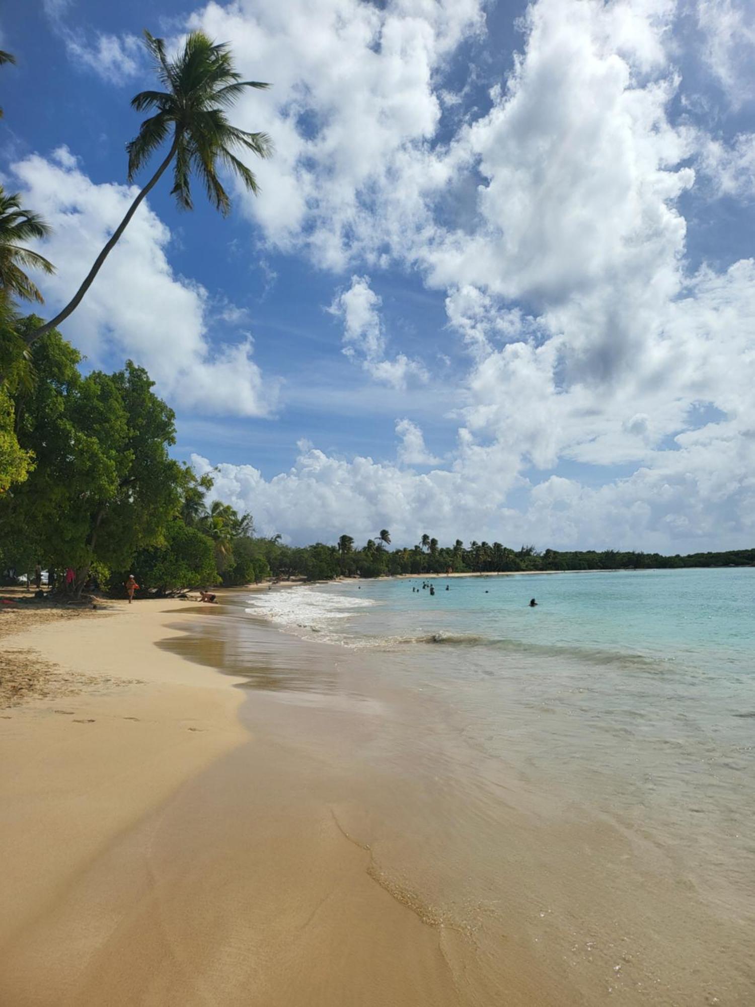 Sud Madinina - Sainte Anneアパートメント エクステリア 写真