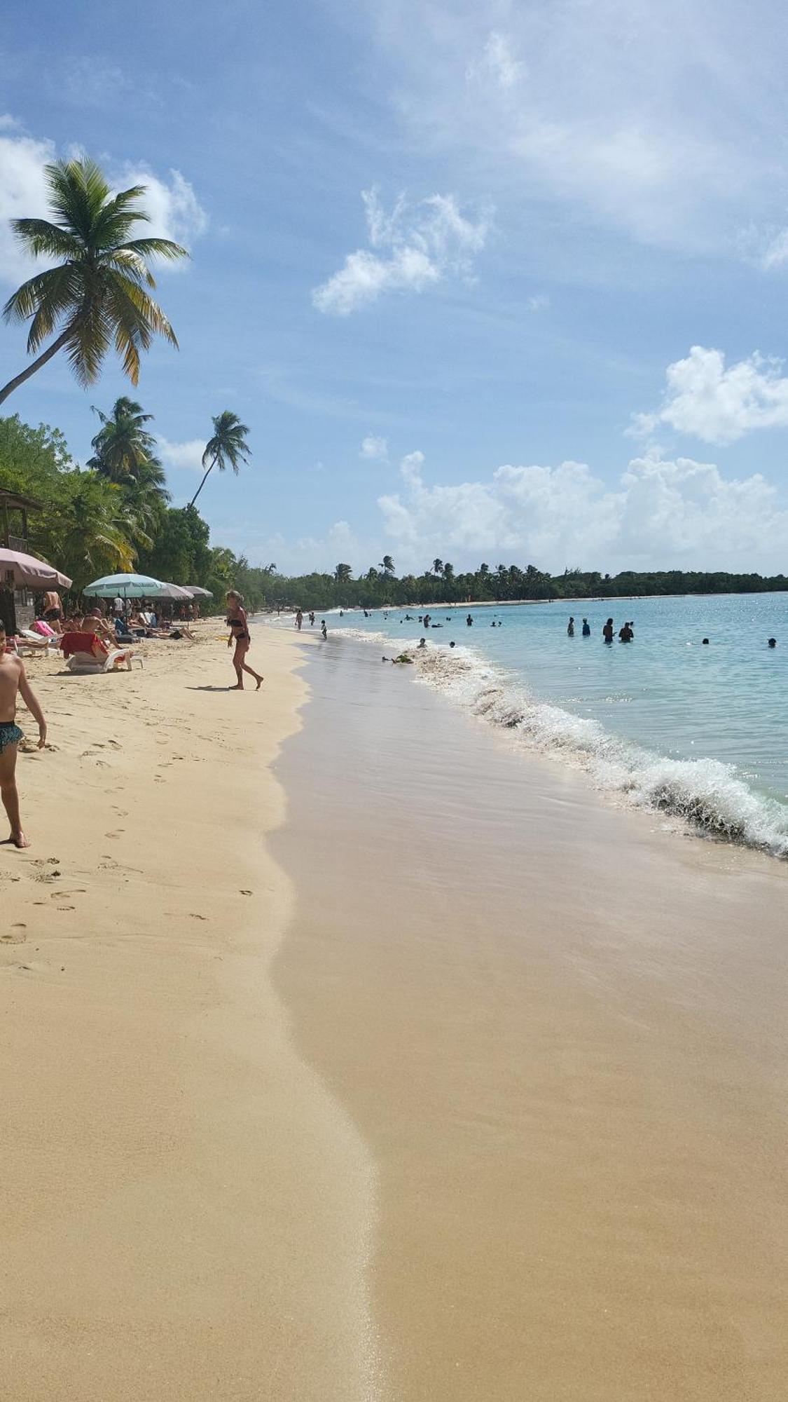 Sud Madinina - Sainte Anneアパートメント エクステリア 写真